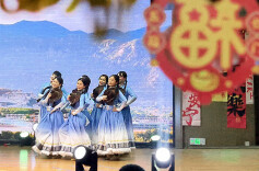 医护才艺展风采