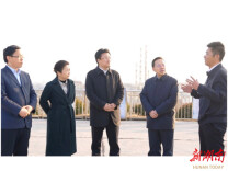 中国工程院院士、天津大学校长柴立元来云溪区考察