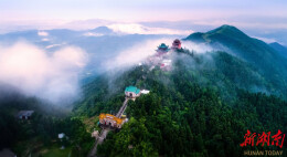 白云生处绿生金——访湖南岳阳大云山国有林场  