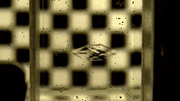 取得多项突破！我国科学家刷新3D打印速度