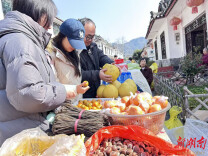 新春走基层｜保靖清水坪：组团式帮扶暖山乡，土家山寨日子甜