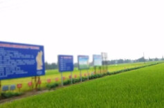 历史上的今天丨1954年2月18日，湖南第一个高级农业社，南县安福高级农业社成立