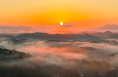 我的2025 | 刘贵雄：低垂的镜头，明亮的日常