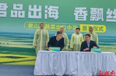 君山蔬菜打开中亚市场@湖南日报