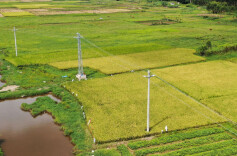 湖南发布新规，耕地立杆不再“任性”！