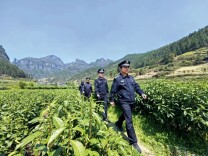 田开毅 覃世林：党建业务深融合 公安工作提质效