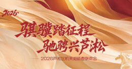 骐骥踏征程 驰骋兴芦淞——芦淞区2026年机关迎新春联欢晚会顺利举行
