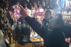 保靖：部门协同严执法 守护野生鸟类安全