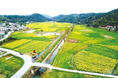 策马向新看浏阳丨葛家镇：“马家湾”里的新家园
