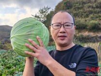 新农人杨盛春：让城步高山蔬菜香飘全国