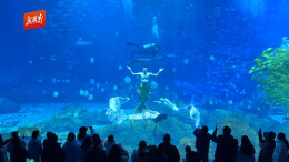 赴一场海洋文化与年俗之约