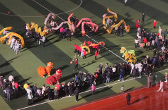 龙腾狮跃迎新年