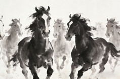 中国文学中“马”的千年流变