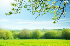 好评中国丨链动三湘，湖南文旅的“破圈”与“长红”之路