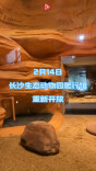 长沙生态动物园爬行馆2月14日重新开放|“马”上游湖南⑱