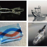 0.6秒可完成毫米尺寸物体打印！我国科学家在3D打印领域有新突破