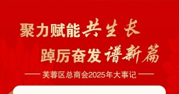 海报｜芙蓉区总商会2025年大事记
