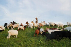 我的2025 | 周沛：洞庭湖边的追光者