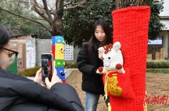 大树“时装秀”