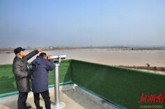 万羽天鹅归处 一湖生态答卷——湖南岳阳东古湖观鸟经济背后的保护密码