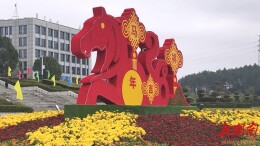 【新春走基层】 红灯笼映福地 繁花迎新春 怀化城区盛装上线年味满格