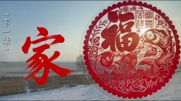 全程第一视角看！网友惊呼：“铁路春运里的每1秒都难以想象！”