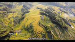 跟随镜头打卡大美娄底+娄底分社+有视频