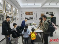 杨静张家界山水画展备受青睐