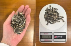 每天一小把，男子血脂超标10倍！春节都爱吃，医生紧急提醒