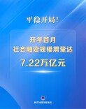 新华鲜报｜平稳开局！开年首月社会融资规模增量达7.22万亿元