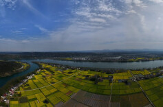 罗毅君主持召开市委常委会会议