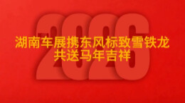 2026湖南车展丨标致雪铁龙给您拜年啦