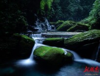 美文欣赏丨澧水，澧水