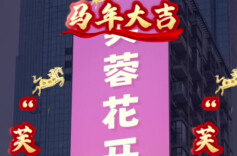 “芙蓉花开 马上福来”祝福视频惊艳亮相长沙五一商圈
