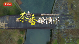新春走基层：益阳市黄花溪村——茶香缘满杯｜古村年味⑪