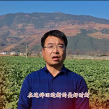 “三农”主播李博士祝愿田野充满希望、生活更红火