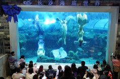 长沙海底世界年味满满