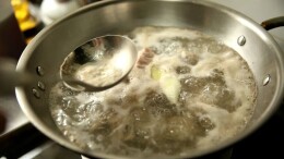 炖肉时出现的浮沫，是营养精华还是脏东西？该不该撇去？