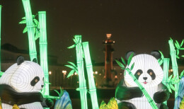 自贡花灯点亮圣彼得堡共庆中国春节