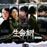 《生命树》：写给大地与英雄的深情告白