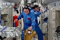 首次上太空的“鼠鼠乘组”在空间站的加班餐食是豆浆