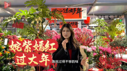 姹紫嫣红过大年