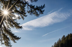 升温在即！长沙最高温预计可达25℃