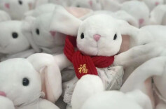 成交量同比暴增500倍！这个新“年货顶流”卖爆了