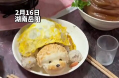 湖南网友晒出爸爸自创年夜饭，“奇珍异兽”无从下口