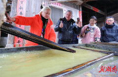 Foreigners Immerse in Chinese New Year Traditions