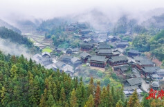 新春走基层：怀化市芋头村——春牛逐春光｜古村年味⑨