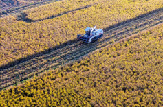 新春走基层丨田埂边算出“丰收账” @湖南日报头版