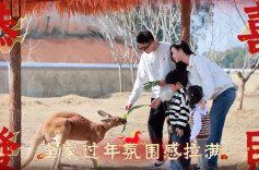 动物园里过大年，氛围感拉满