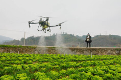 雨水时节农事忙